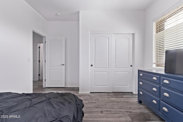 1405 E Aloe Dr, Chandler, AZ 85286 - bedroom with a closet and wood finished floors