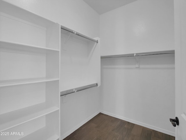 walk in closet featuring dark hardwood / wood-style floors