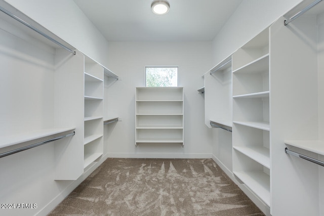 spacious closet with carpet floors