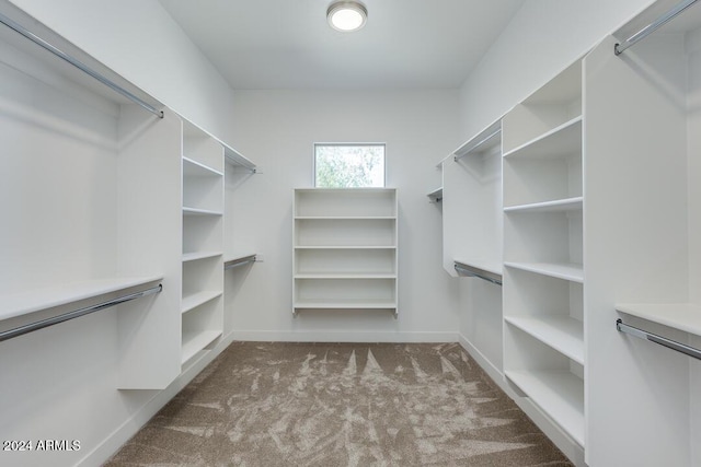 15522 E Chicory Dr, Fountain Hills, AZ 85268 - spacious closet with carpet floors