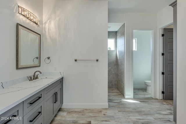 bathroom with vanity, toilet, and wood-type flooring