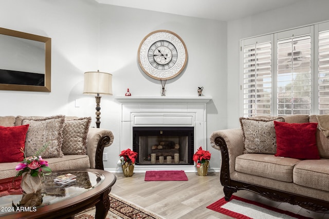 living room featuring hardwood / wood-style floors