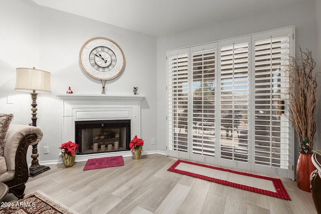 living room featuring light wood-type flooring