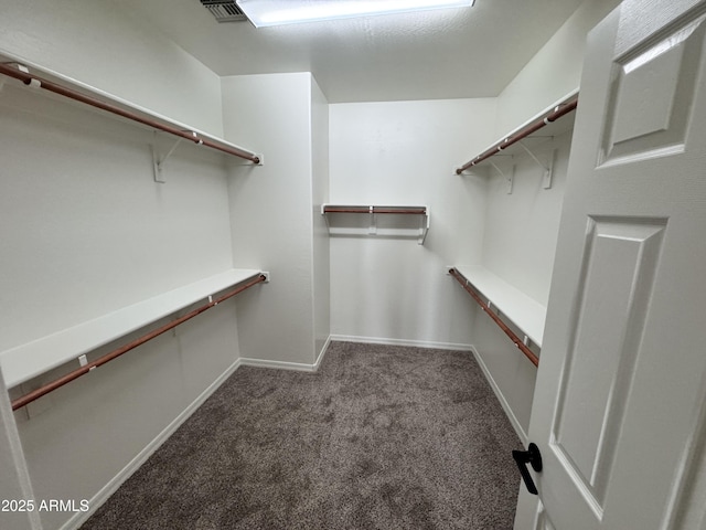 walk in closet featuring carpet floors