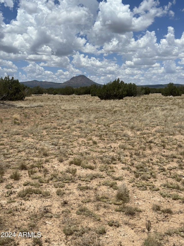 118D Prairie Dog Rd Unit 118D, Ash Fork AZ, 86320 land for sale