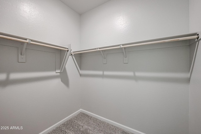 walk in closet featuring carpet