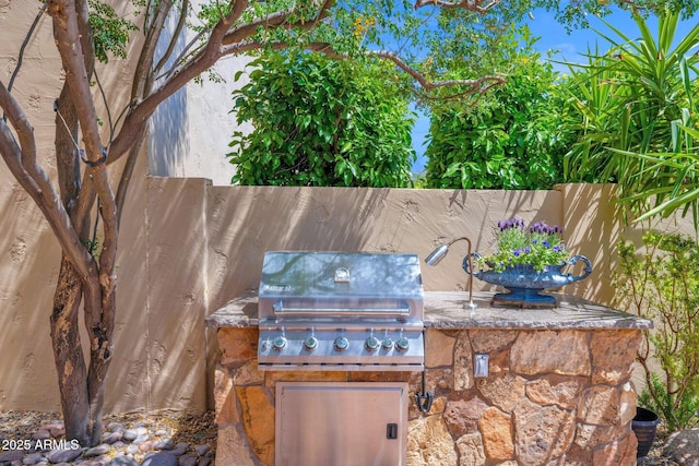 view of patio featuring area for grilling