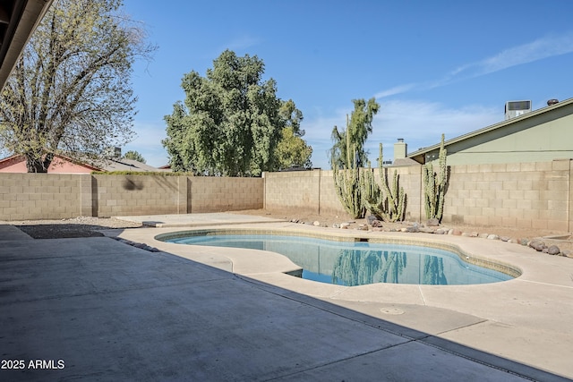 view of pool featuring a patio area