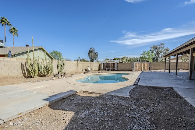 view of pool featuring a patio