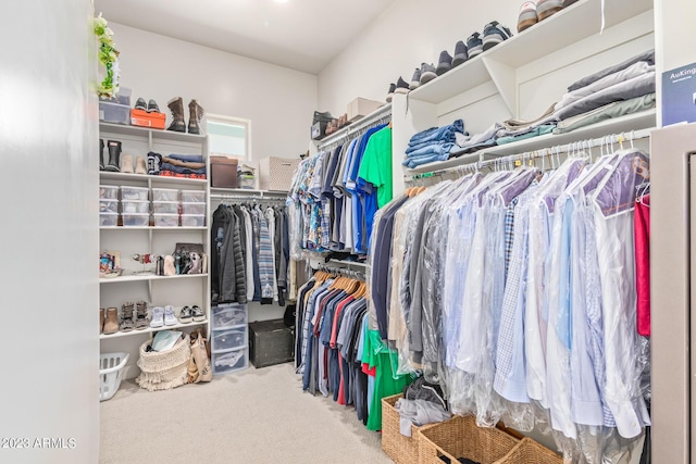 spacious closet featuring carpet floors