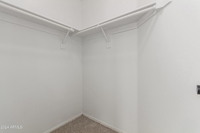 walk in closet with carpet floors