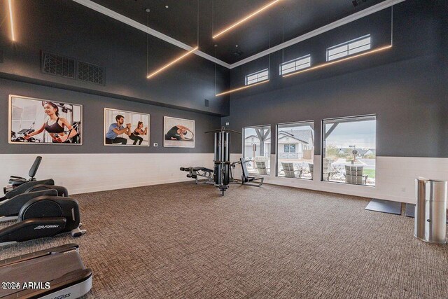 5724 E Scarlet St, Mesa, AZ 85215 - workout area with carpet, a high ceiling, and wainscoting