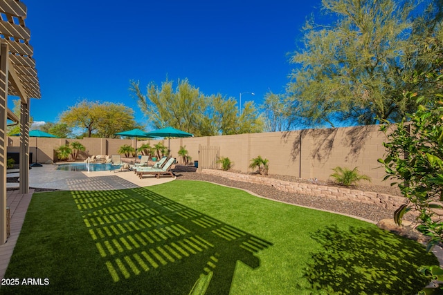 view of yard featuring a patio, a fenced backyard, and a fenced in pool