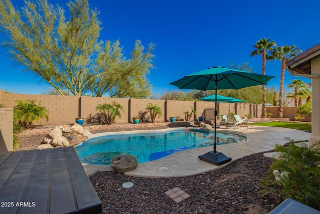 view of swimming pool with a fenced in pool, a fenced backyard, and a patio