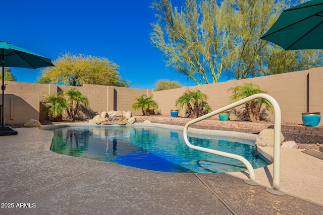 view of pool featuring a fenced in pool, a fenced backyard, and a patio