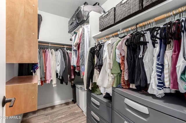 510 S Saddle St, Gilbert, AZ 85233 - walk in closet featuring wood finished floors