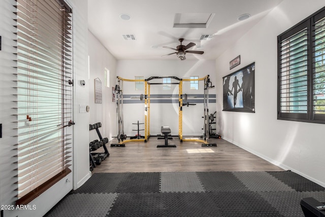 5212 S Seton Ct, Gilbert, AZ 85298 - workout room with wood finished floors, baseboards, and ceiling fan
