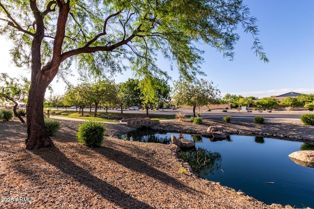 5212 S Seton Ct, Gilbert, AZ 85298 - surrounding community featuring a water view