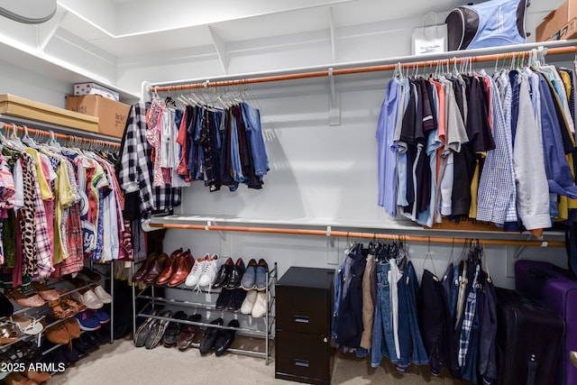 walk in closet featuring carpet floors