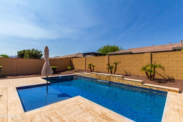 view of swimming pool with a patio area, a fenced backyard, and a fenced in pool