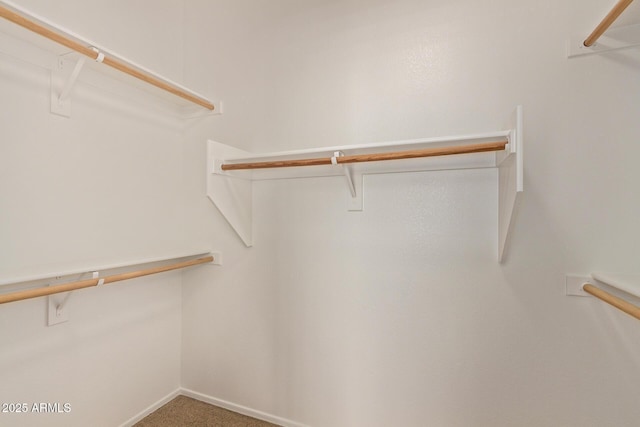 4143 E Sundance Ave, Gilbert, AZ 85297 - walk in closet featuring carpet floors