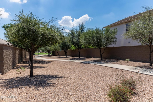 4143 E Sundance Ave, Gilbert, AZ 85297 - view of yard