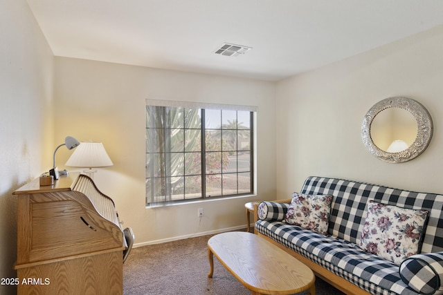 sitting room with carpet floors