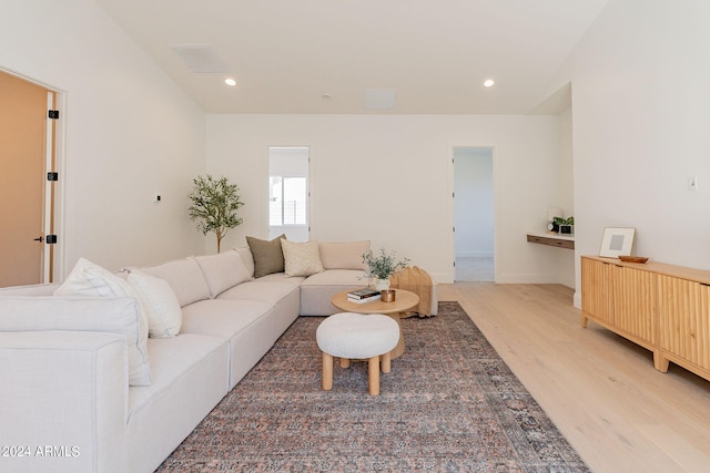 living room featuring hardwood / wood-style floors