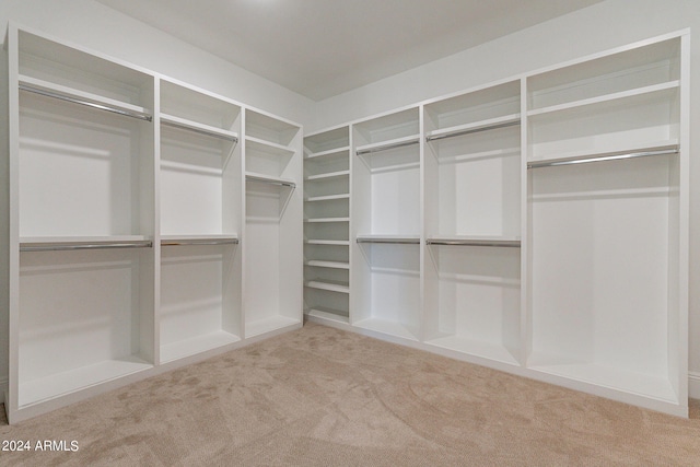 spacious closet with carpet