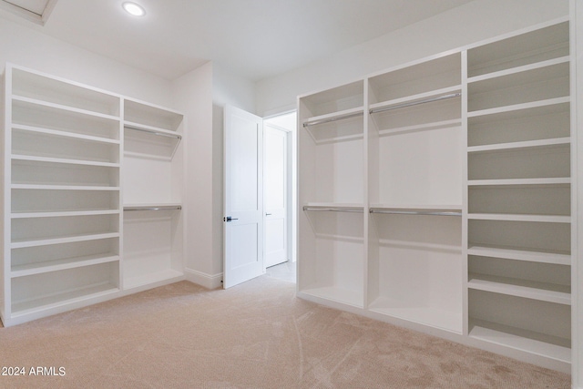 walk in closet featuring carpet floors