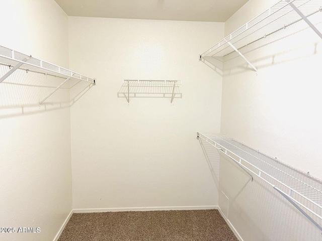 spacious closet featuring carpet floors