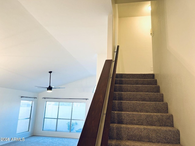 staircase with vaulted ceiling, carpet flooring, and a ceiling fan