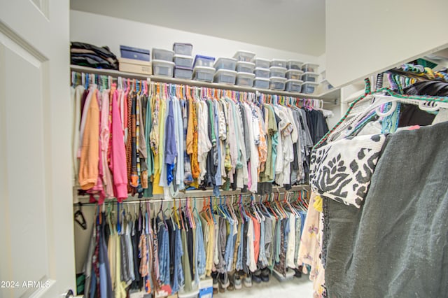 view of spacious closet