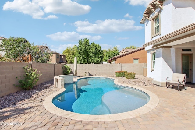 view of pool featuring a patio