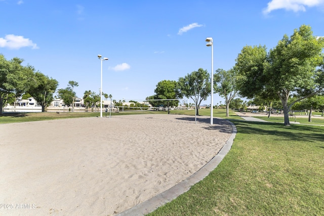 1449 W Sherri Dr, Gilbert, AZ 85233 - surrounding community with volleyball court and a yard
