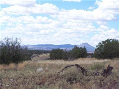 996 W Couchmans Trl Unit 204, Ash Fork AZ, 86320 land for sale