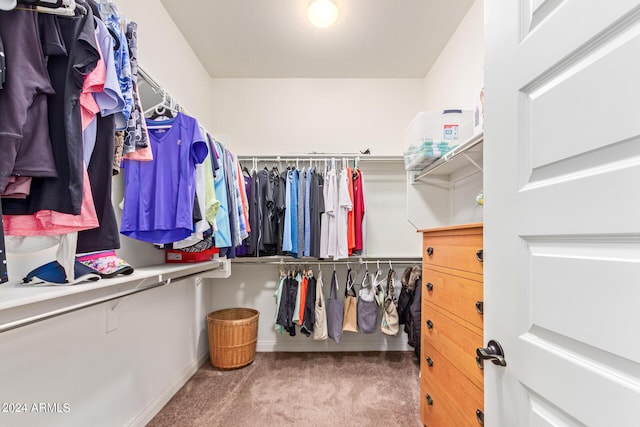 walk in closet with carpet flooring