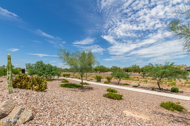 view of yard with a rural view