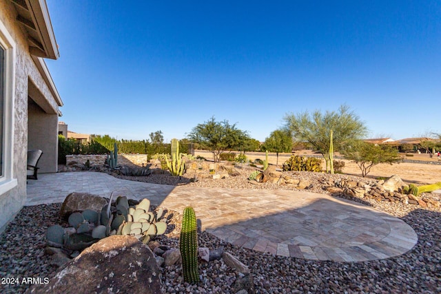 view of yard featuring a patio