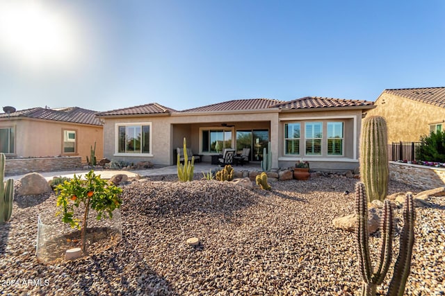 back of property with a patio and ceiling fan