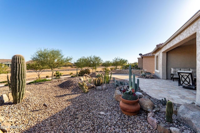 view of yard featuring a patio