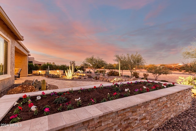 view of yard at dusk