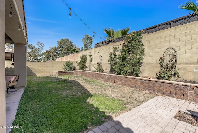 view of yard with a patio area and a fenced backyard