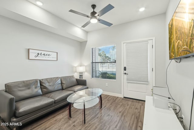 living room featuring ceiling fan and wood-type flooring