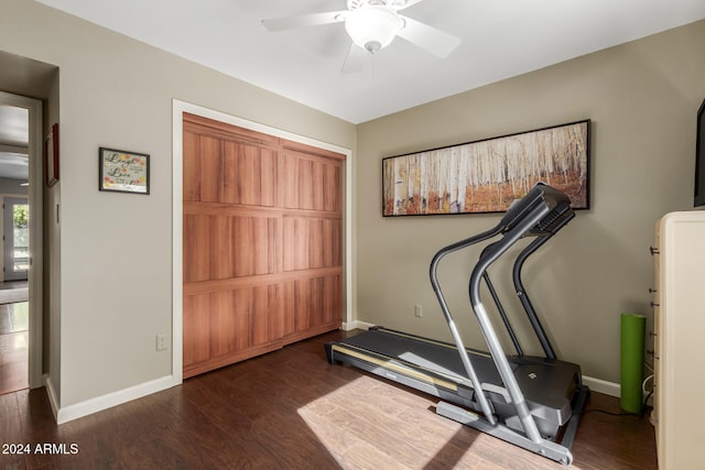 workout room featuring ceiling fan and dark hardwood / wood-style flooring