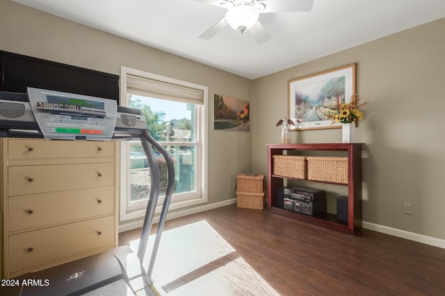 office space featuring ceiling fan and dark hardwood / wood-style flooring