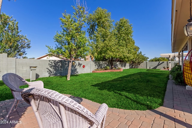 view of yard featuring a patio