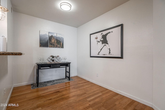 interior space featuring wood-type flooring