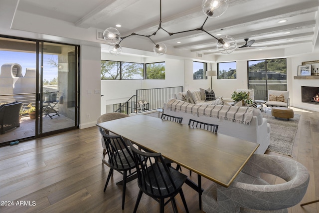 dining space featuring ceiling fan, beamed ceiling, and dark wood-type flooring