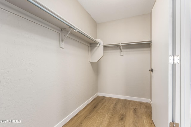 spacious closet with hardwood / wood-style floors